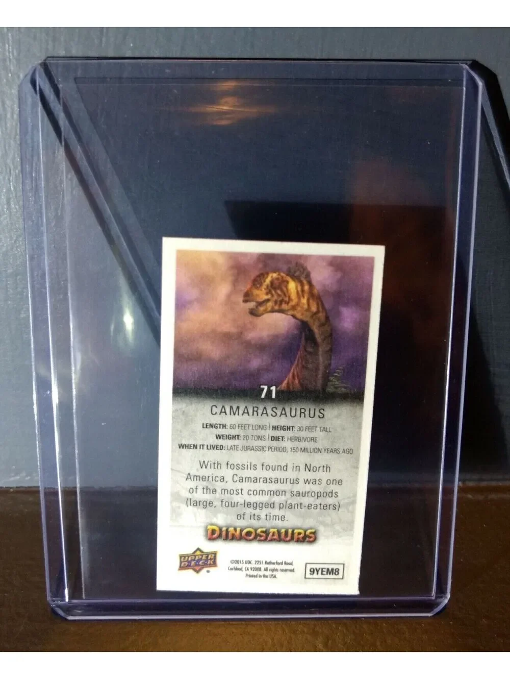 2015 Upper Deck Dinosaurs Canvas Mini Camarasaurus #71 Trading Card
